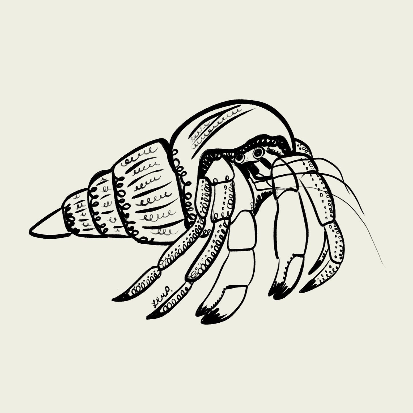 hermit crab with greeny blue watercolour striped surround - fish art print by cat dearlove