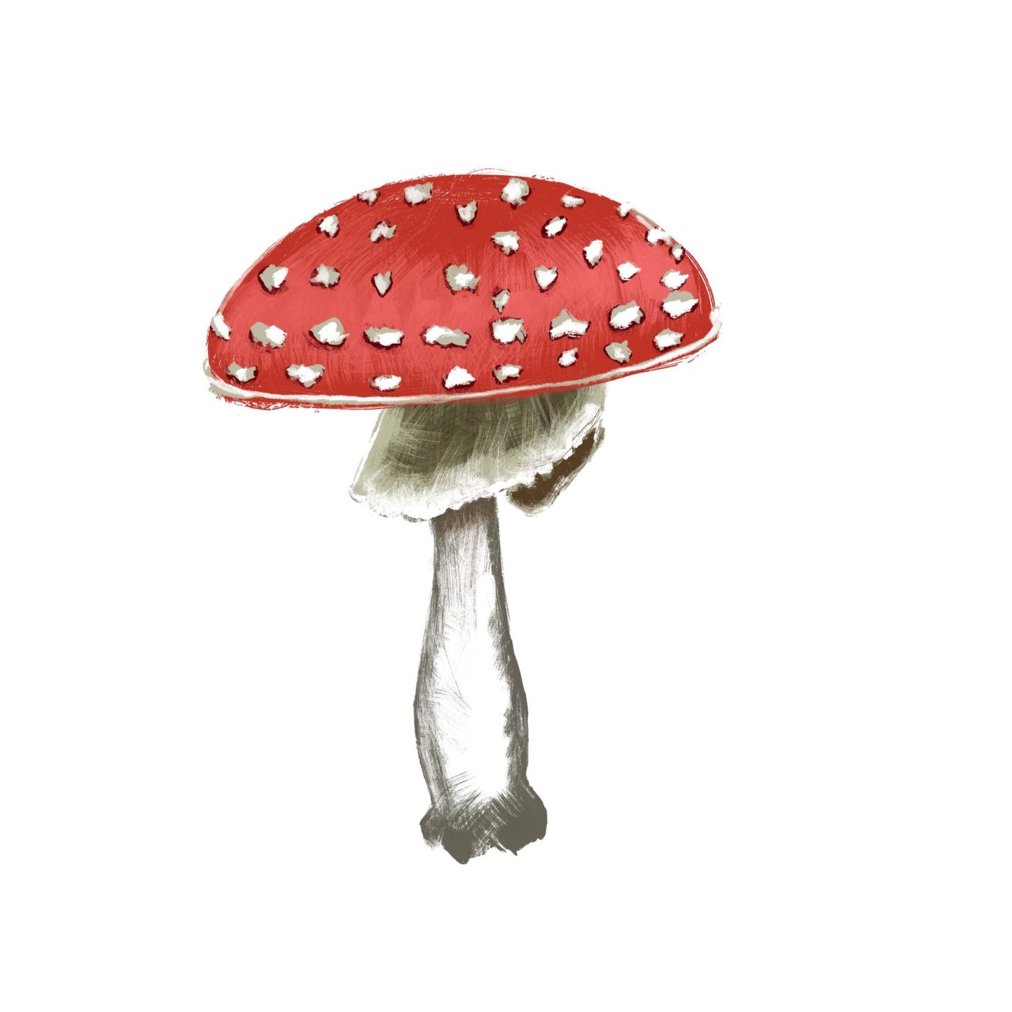 toadstool in colour with red watercolour striped surround - nature art print by cat dearlove