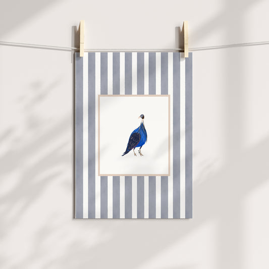 east african guinea fowl 1 with soft grey watercolour striped surround - birds art print by cat dearlove