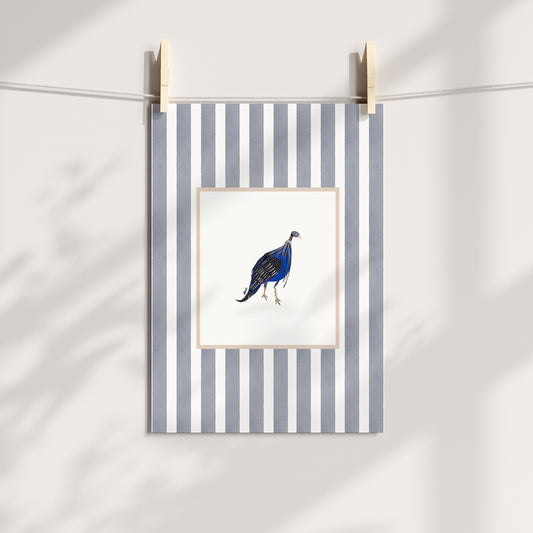 east african guinea fowl 2 with soft grey watercolour striped surround - birds art print by cat dearlove