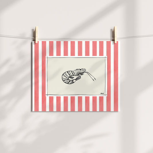 shrimp with pink watercolour striped surround - fish art print by cat dearlove