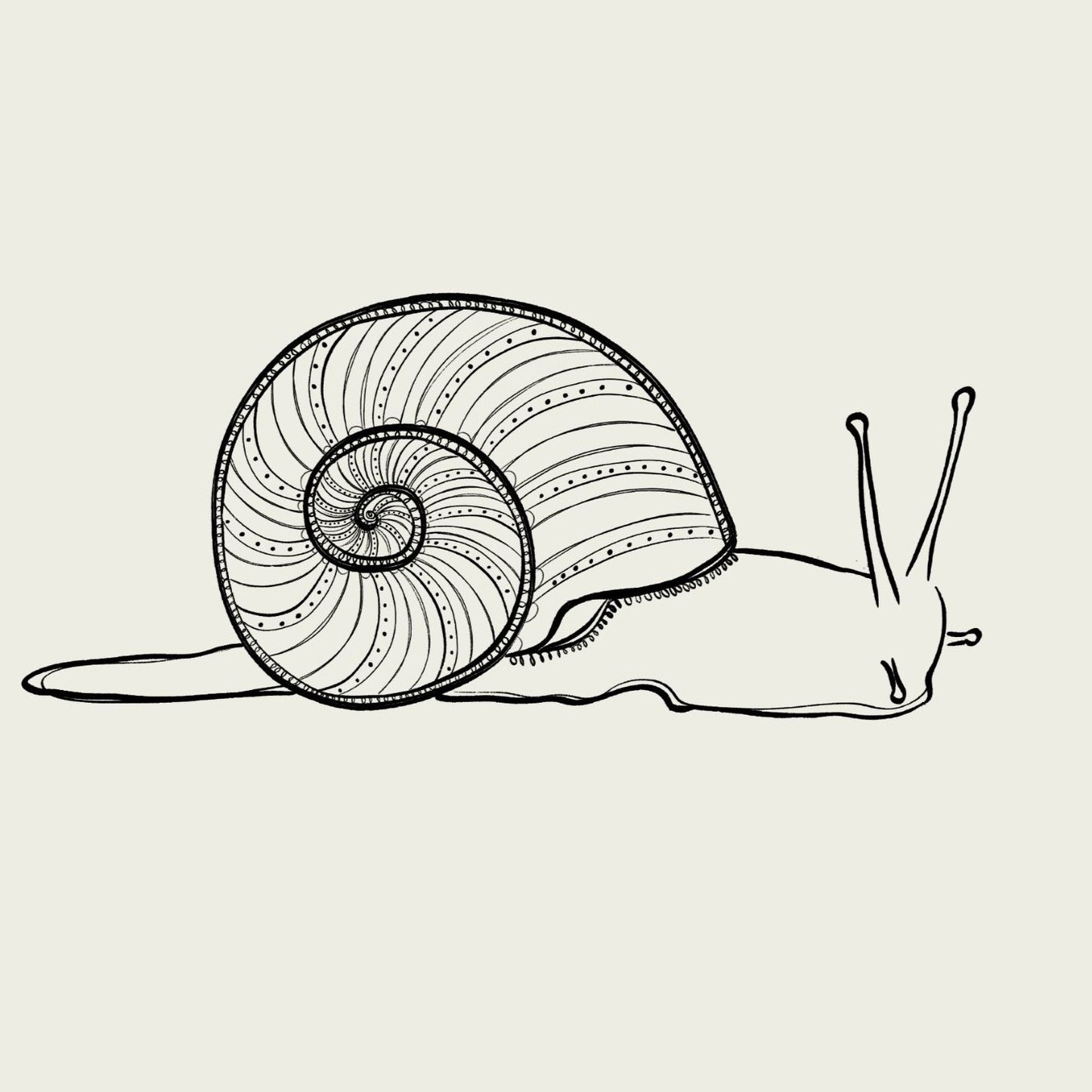 snail with blue watercolour striped surround - bugs art print by cat dearlove