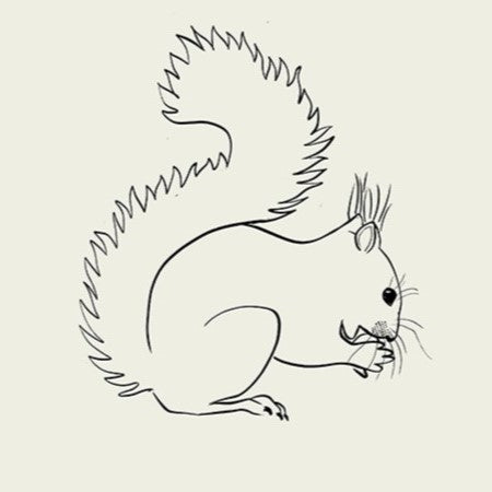 squirrel with blue watercolour striped surround - animals art print by cat dearlove